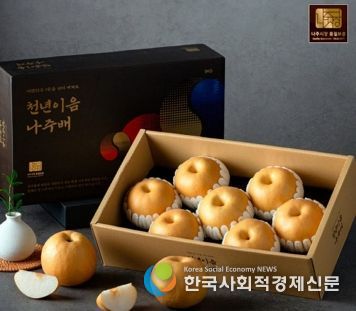 나주시장 품질보증제 배 브랜드 상품인 ‘천년이음 나주배’