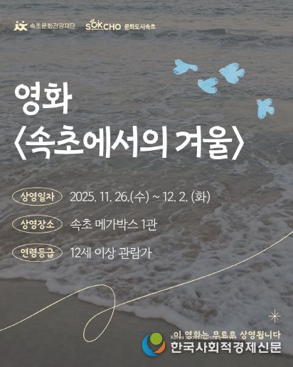 속초에서의 겨울 카드뉴스