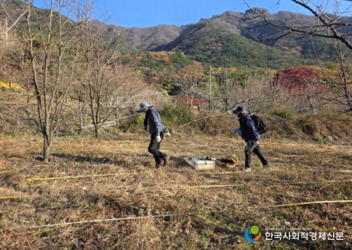 김천 갈항사지 GPR탐사 시범조사 모습 (2025년 11월)