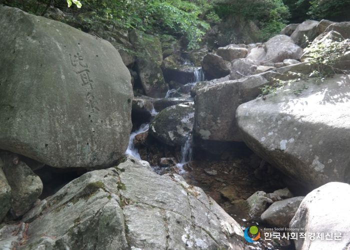 장흥 장천동과 팔경 암각문(세이담)