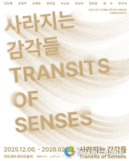 사라지는 감각들 포스터