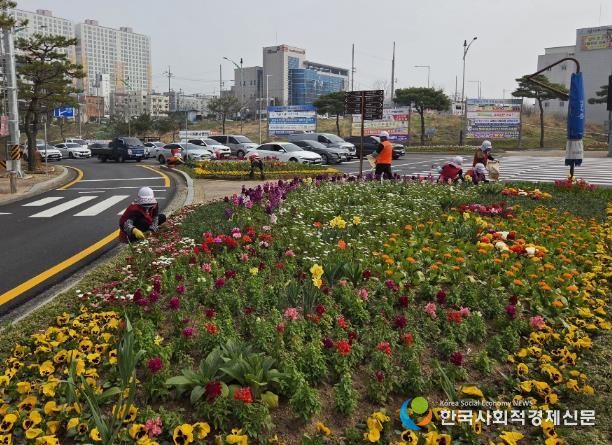 나주시가 쾌적한 도시경관 조성을 위해 주요 교통섬 6개소와 대형 화분 등에 금잔화, 페츄니아, 비올라 등 봄꽃을 식재했다.